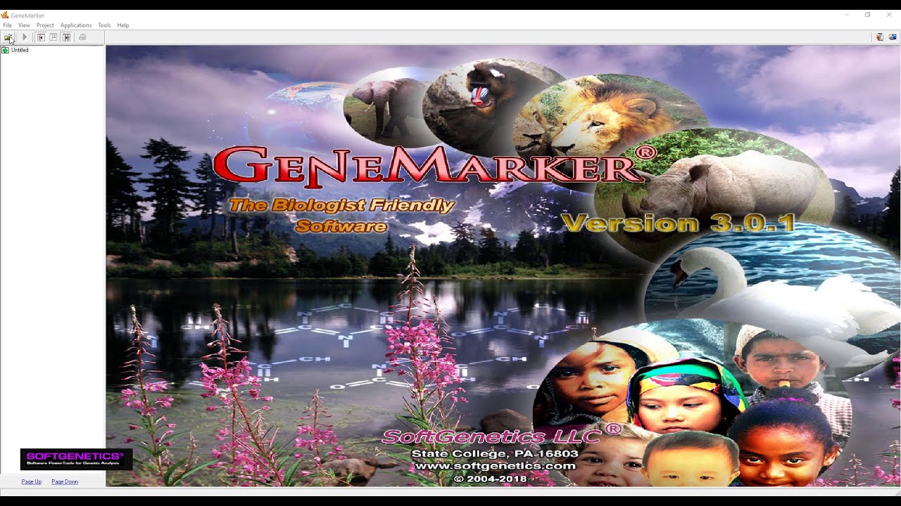 GeneMarker Repeat Expansion Analysis Application