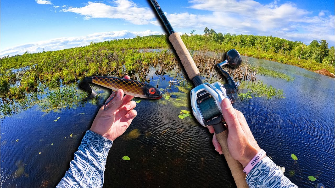 On The HUNT For Big Predator Fish