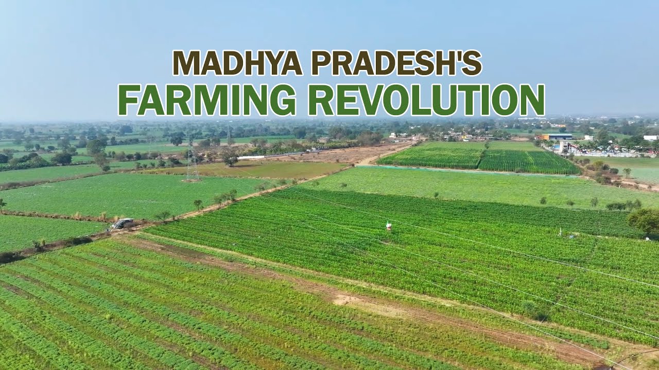 Madhya Pradesh's Farming Revolution | Megha Engineering