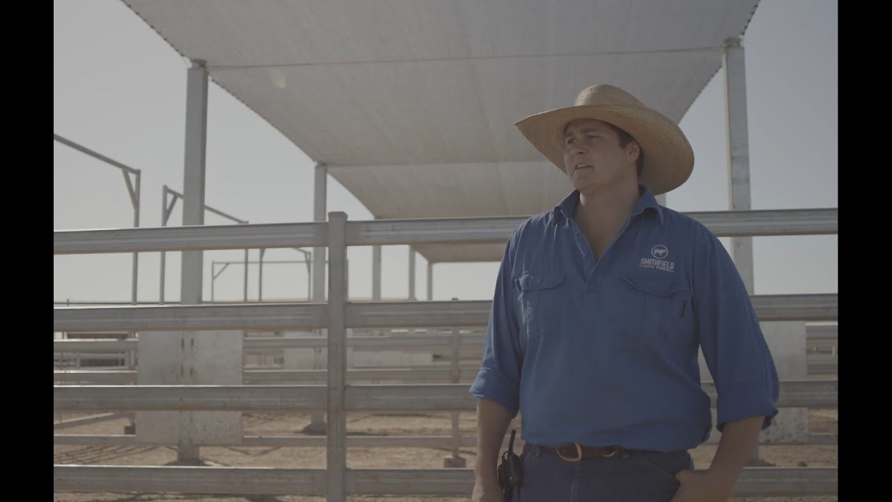 Smithfield Cattle Co. - Sapphire Feedlot