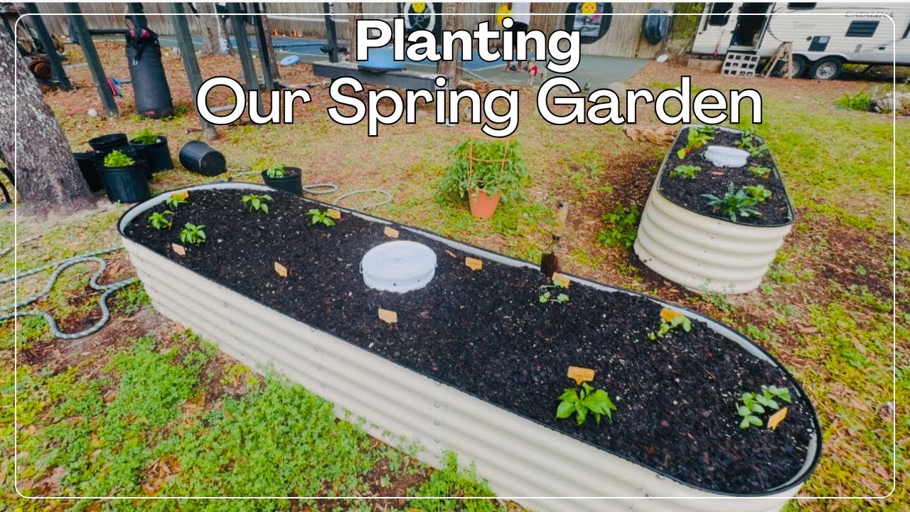 Our Spring Garden