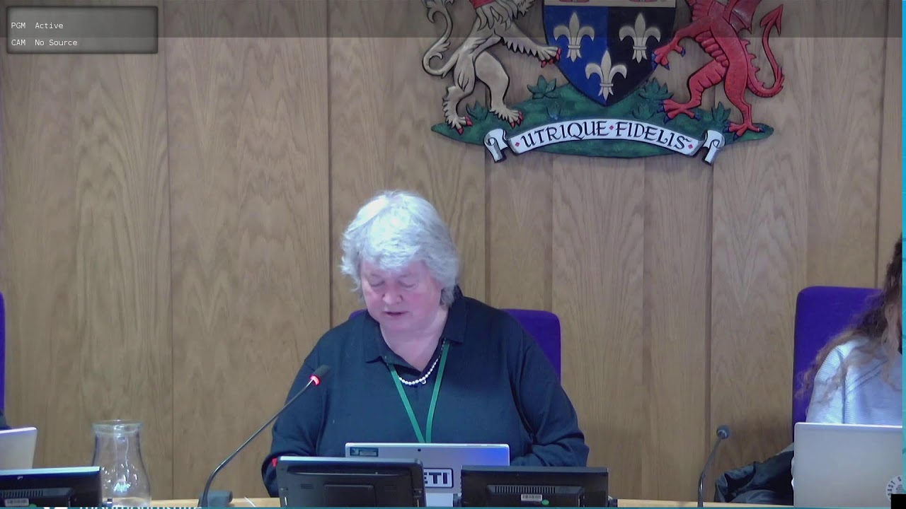 Place Scrutiny - 29th January 2026