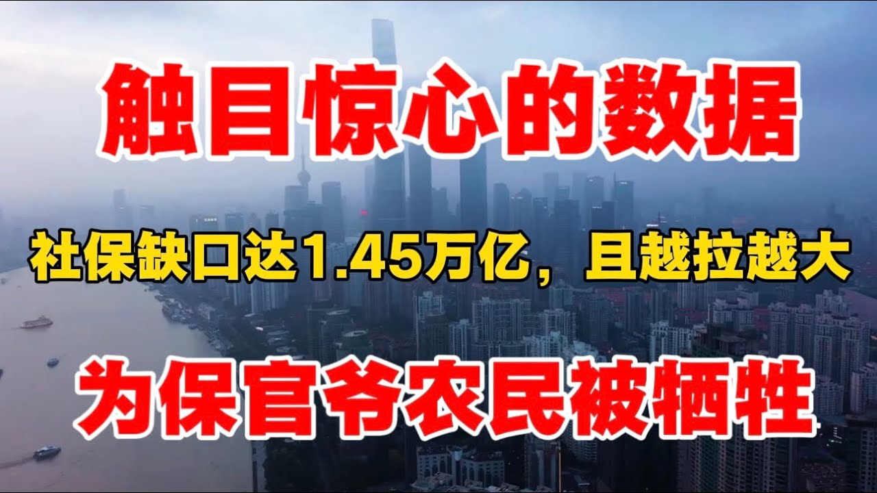 触目惊心的数据，社保缺口达1.45万亿，且越来越大，为保官爷农民被牺牲！向松祚教授点破真相！