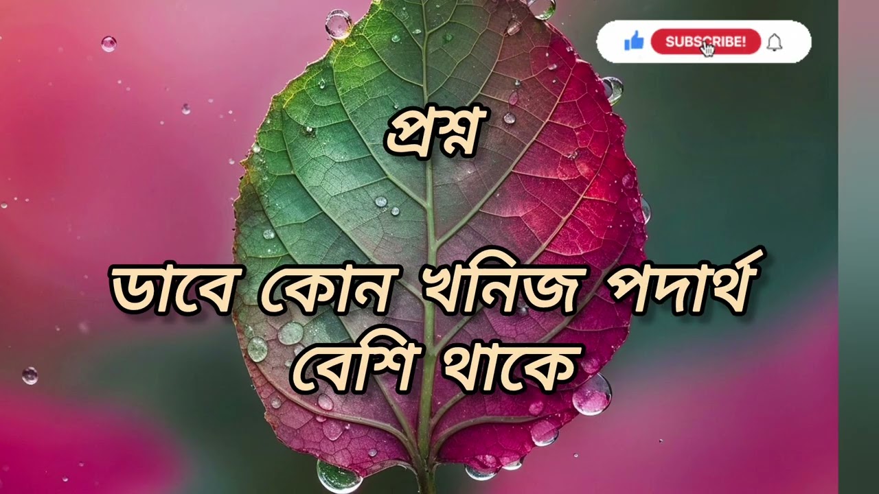 দক্ষিণ ভারতের দীর্ঘতম নদীর নাম কী..?