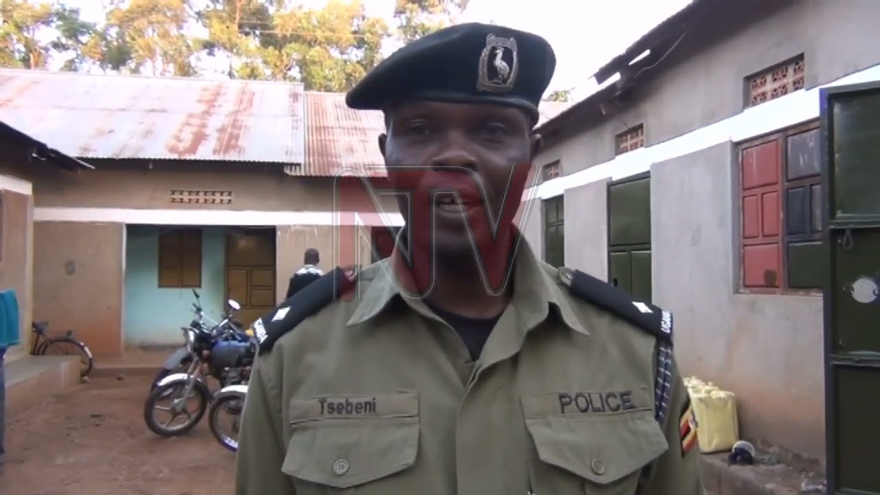 11 girls rescued, 7 suspected traffickers arrested