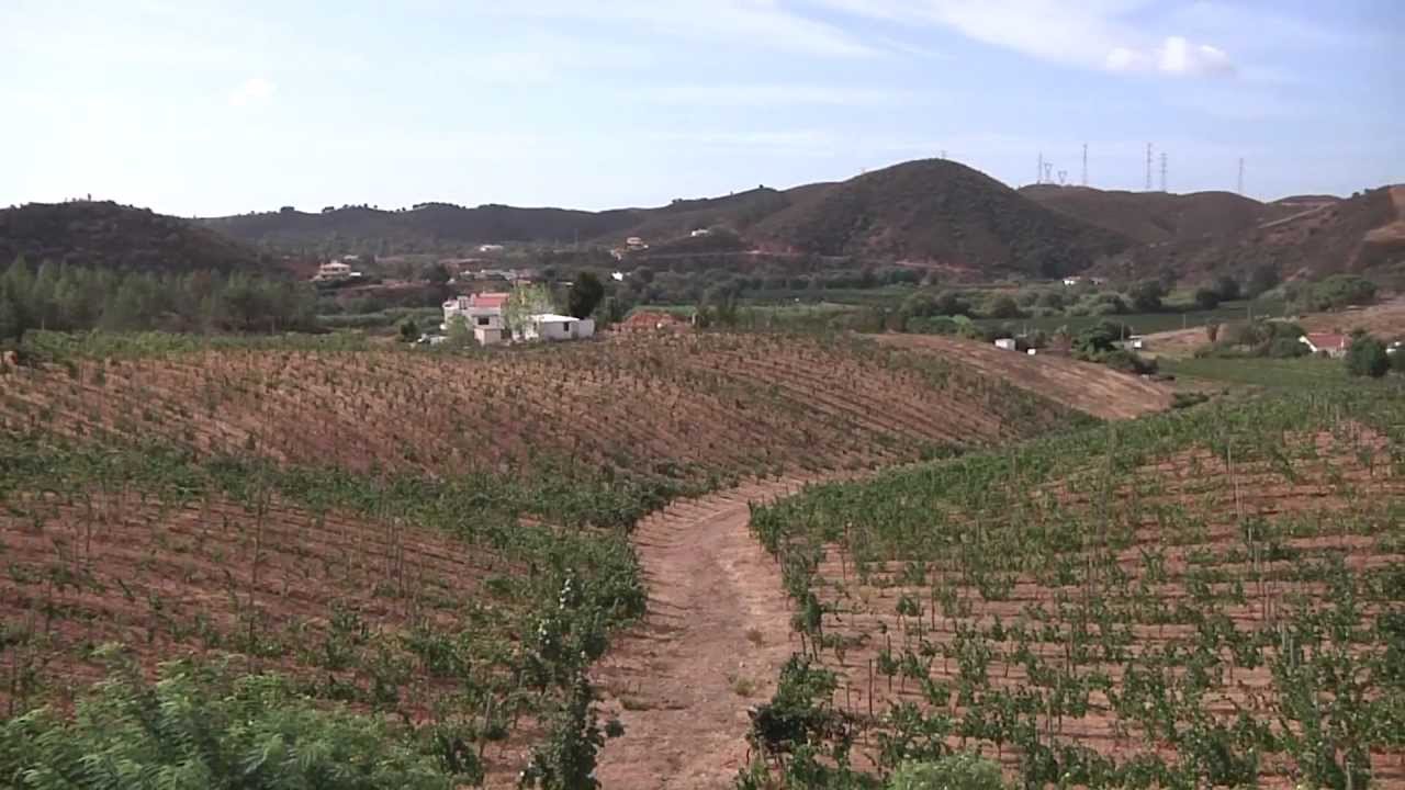 Quinta do Francês Winery and vineyard