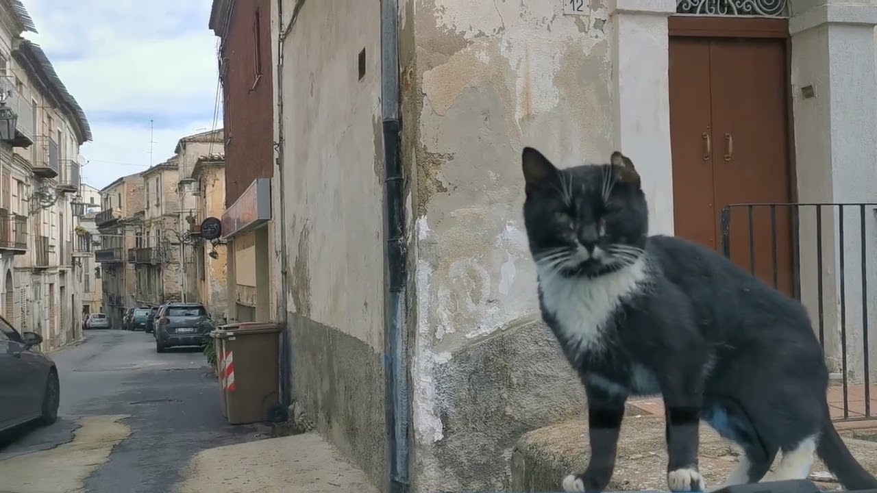 Rossano Calabria 15.2.26