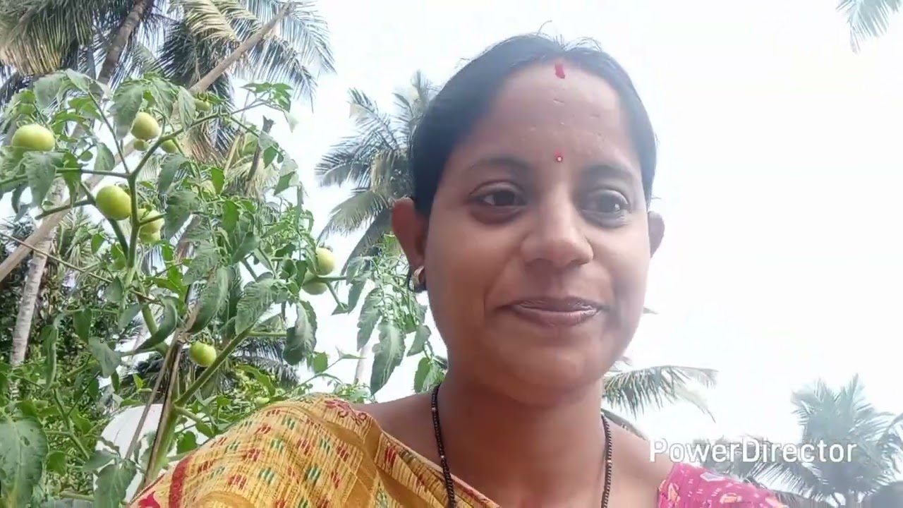 ଫୁଟି ସାରିଥିବା ସେବତୀ ଗଛକୁ ନୂଆ ଗ୍ରୋଥ ଦେବା 🙏ପ୍ଲିଜ଼ ସଂସକ୍ରାଇବ କରନ୍ତୁ 🌹