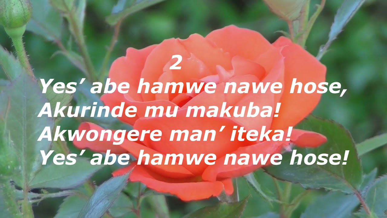 41 Yes'abe hamwe nawe