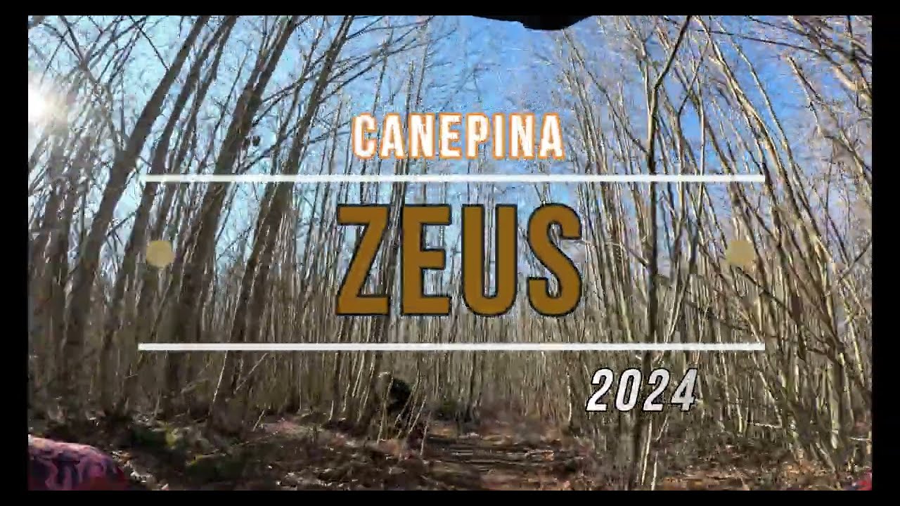 ZEUS 2024 pulitissimo Canepina Enduro  [Giant Reign  E+2 Gopro Hero 11 HDR]