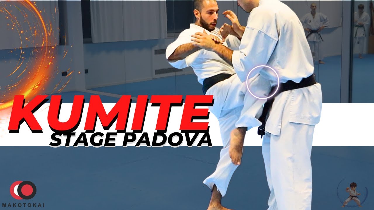 Il KUMITE Makotokai - Studio della tecnica