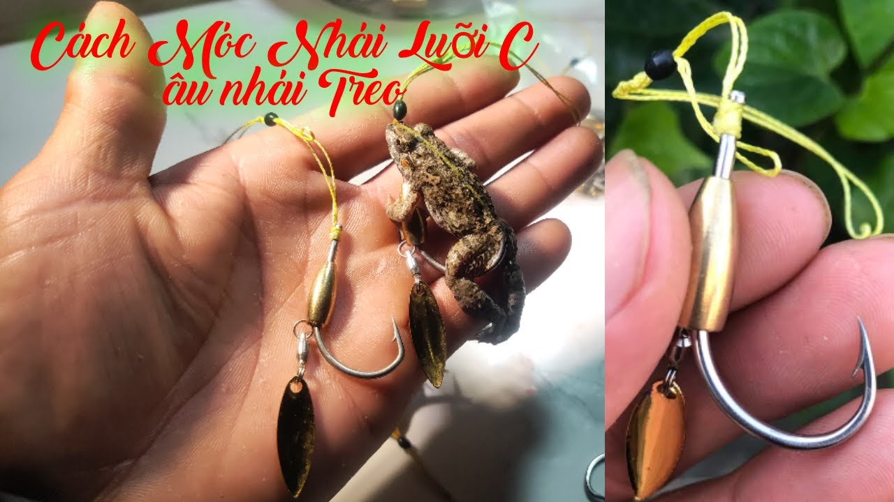 Cách móc nhái luỡi nhái treo, cách móc nhái treo đúng cách chuẩn nhất