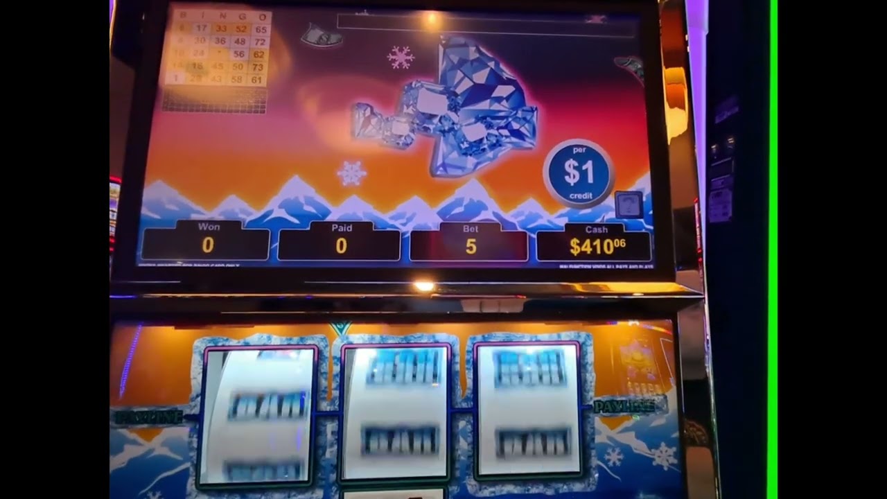 Poller High Roller Max делает ставки в казино Indigo Sky!