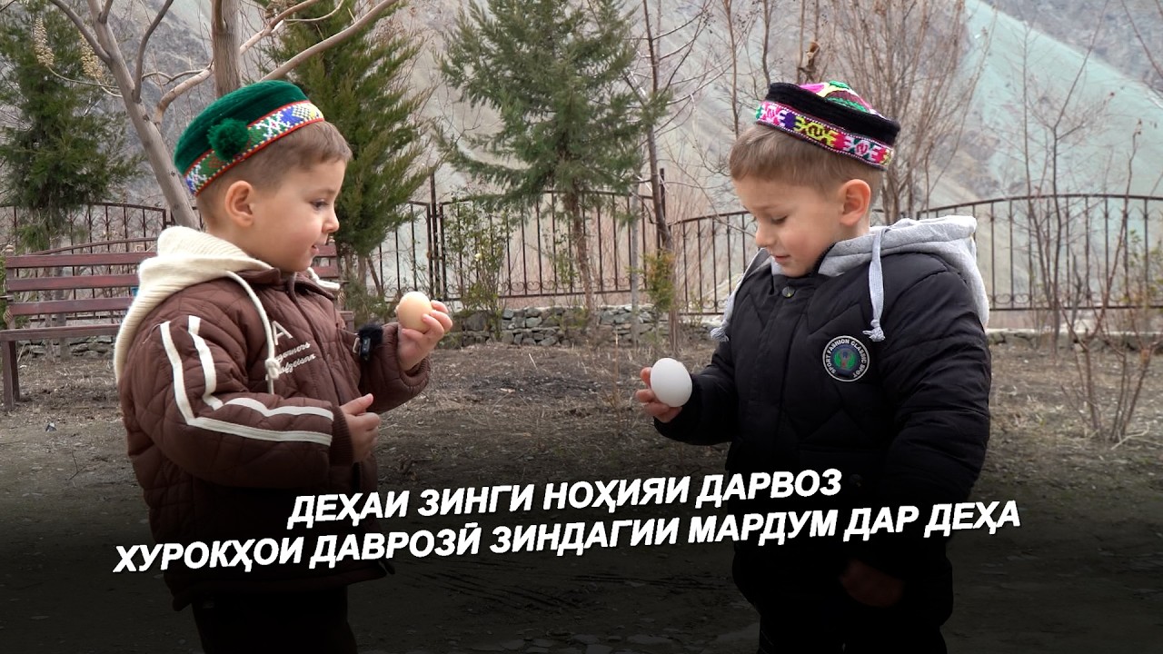 ДЕҲЕИ ЗИНГИ НОҲИЯИ ДАРВОЗ / ТУТ ДОРЕМ ЗАРДОЛУ ДОРЕМ ЗИНДАГИИ МАРДУМ ДАР ДЕҲОТ / Деҳаи Ман
