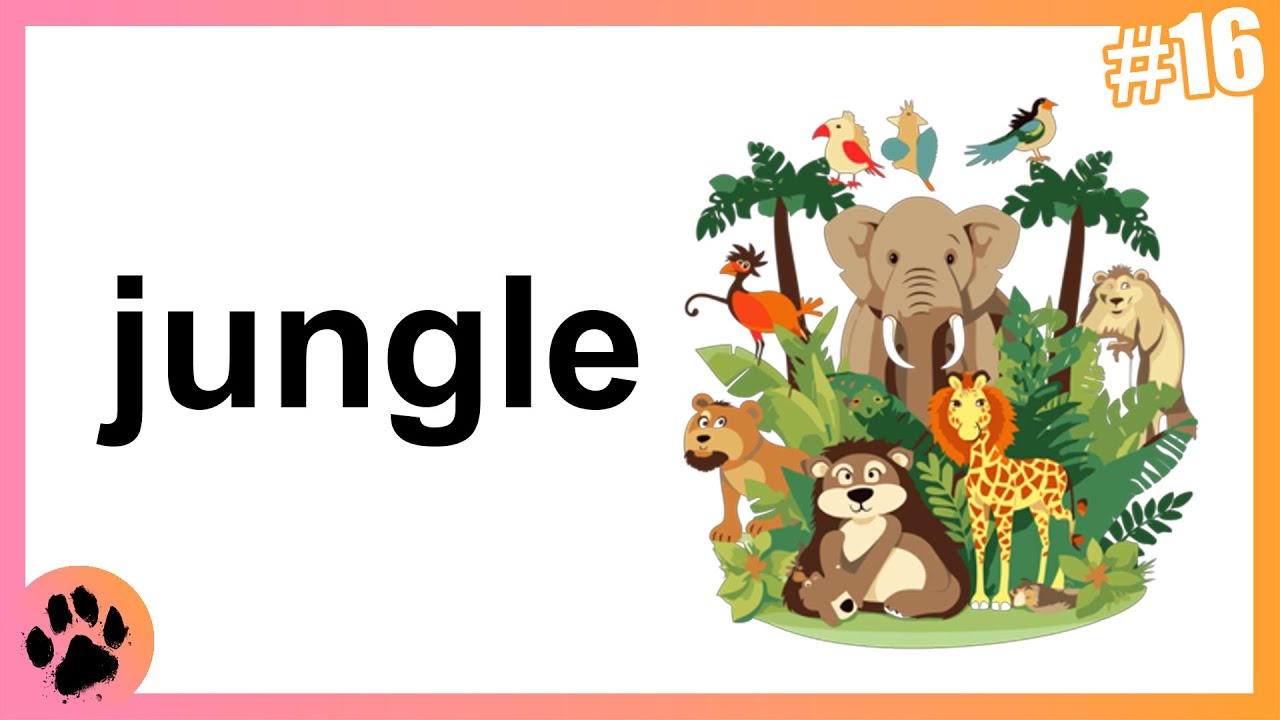 A Bit About: Jungle