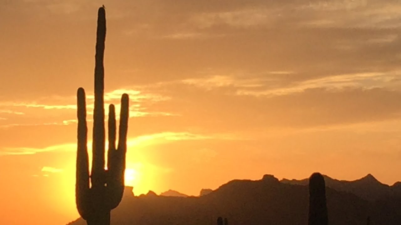 Lost Dutchman and Cave Creek Camping