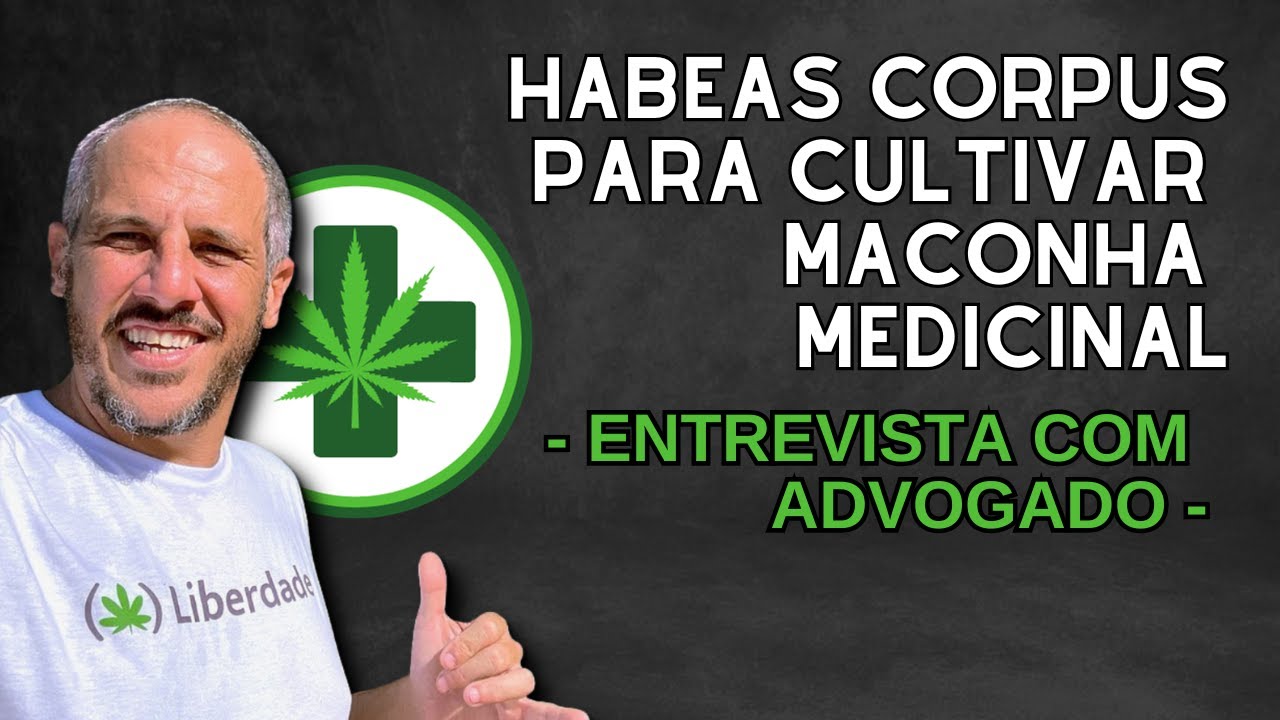 Como Fazer um HABEAS CORPUS para CULTIVO DE MACONHA MEDICINAL (advogado especialista)