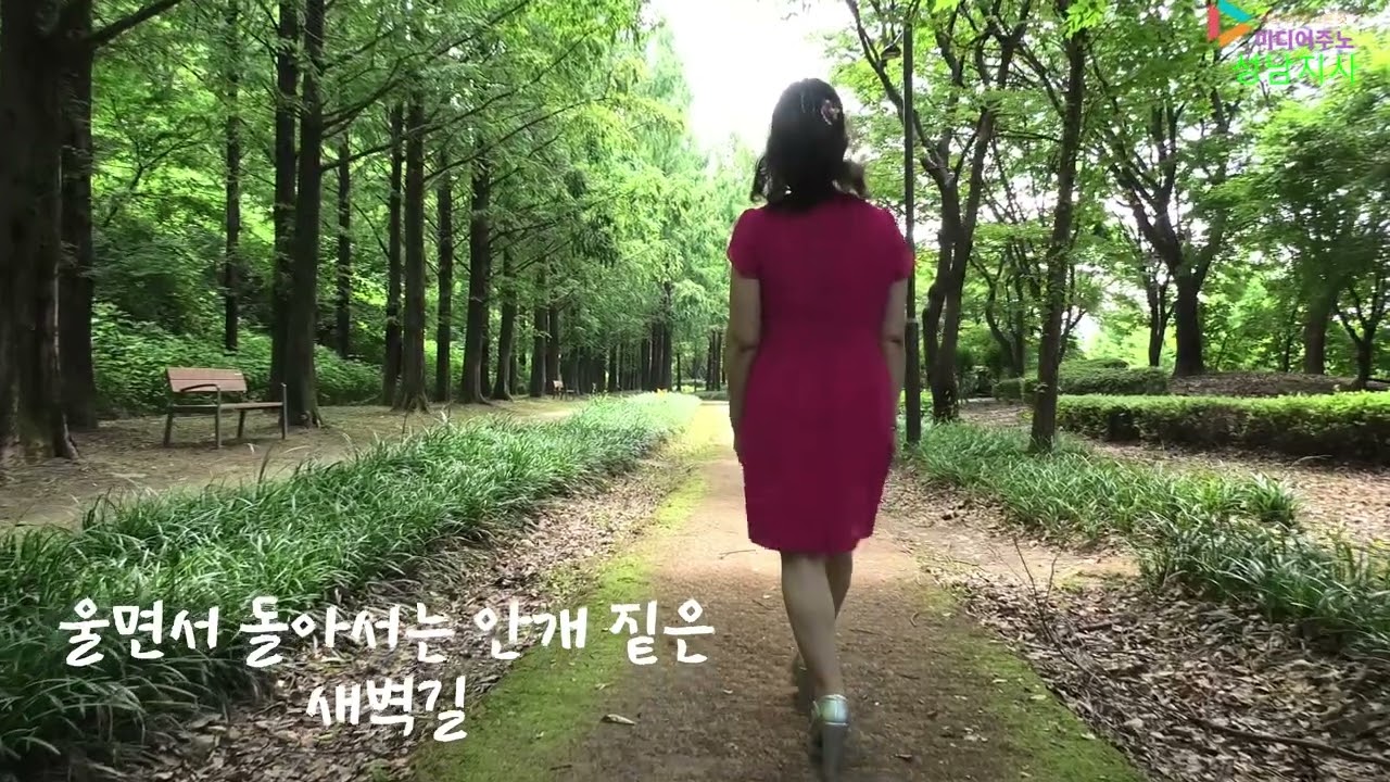 서은정  새벽길  원곡 남정희  촬영편집 미디어주노 성남지사 가요트롯tv 홍재종 구독 좋아요