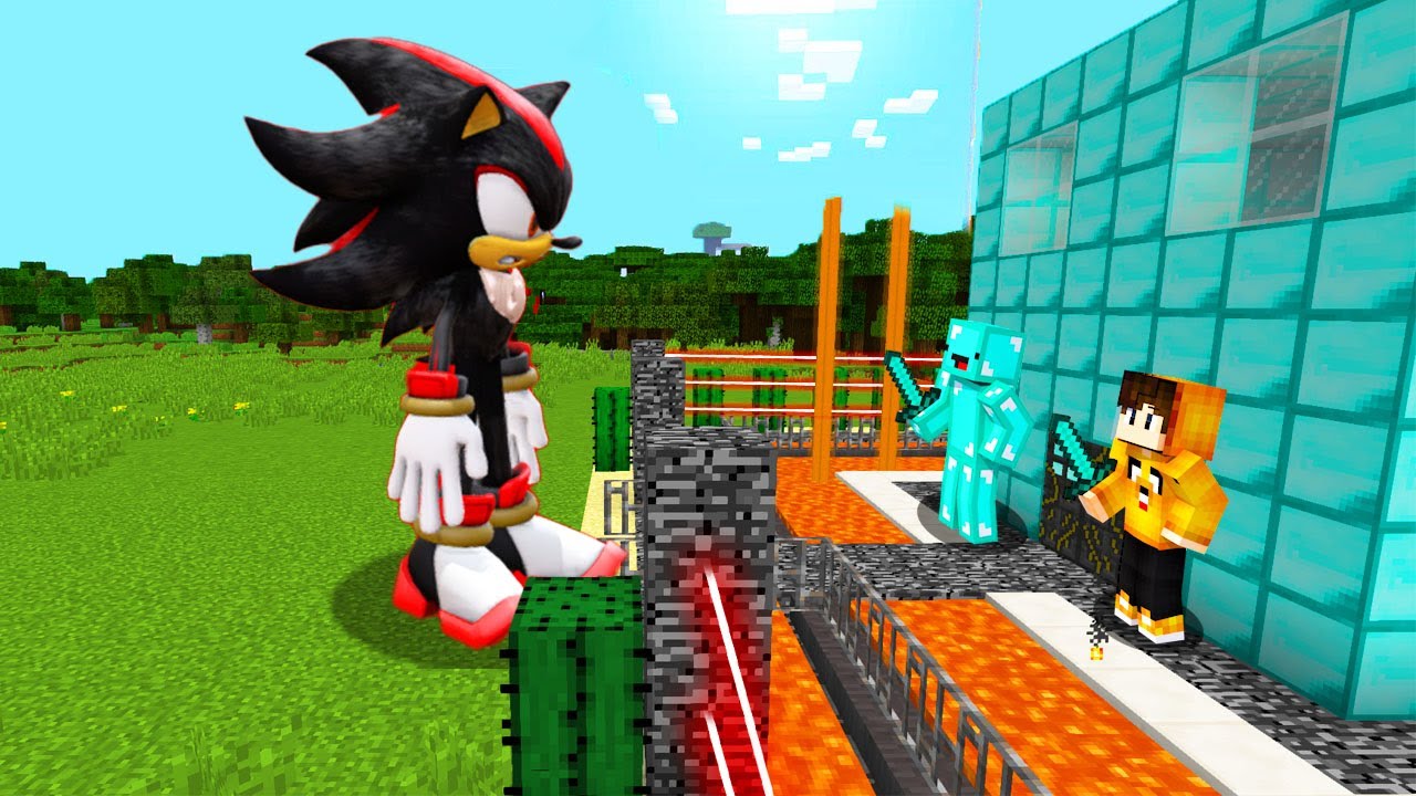SHADOW SONIC Vs Security House Defense