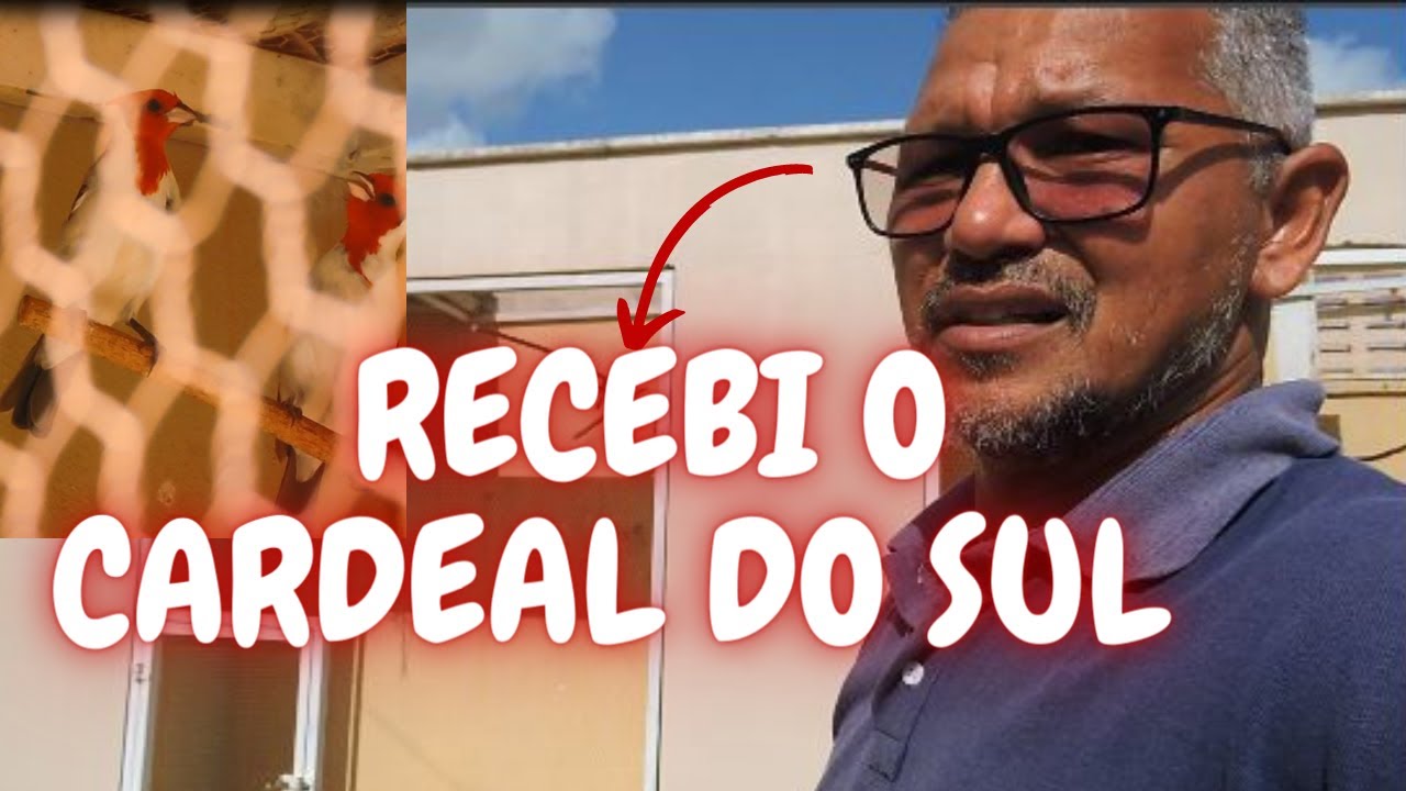 NO CRIATÓRIO DO ALEX RECEBO CARDEAL DO SUL CANTA NA MINHA FRENTE