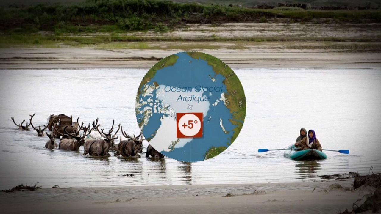 Arctique