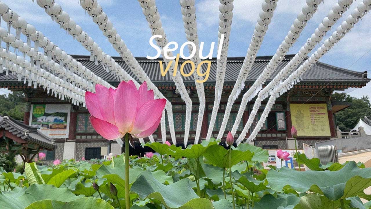[Korea vlog] Bongeunsa, a Buddhist temple in the middle of Gangnam Seoul🎋 meditation road