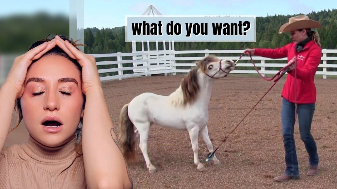 When you can't train a horse, confuse them instead.