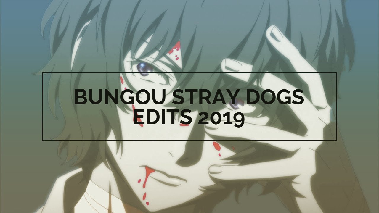 Bungou Stray Dogs Edits 2019
