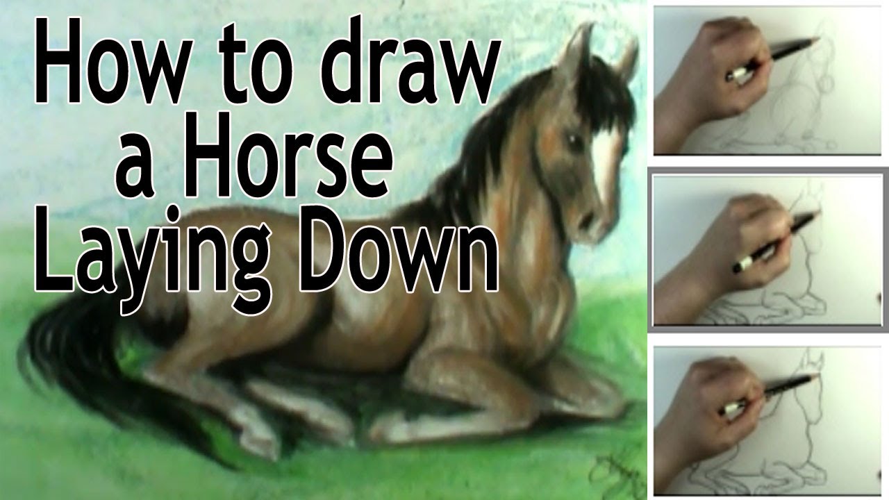 How to draw a horse laying down