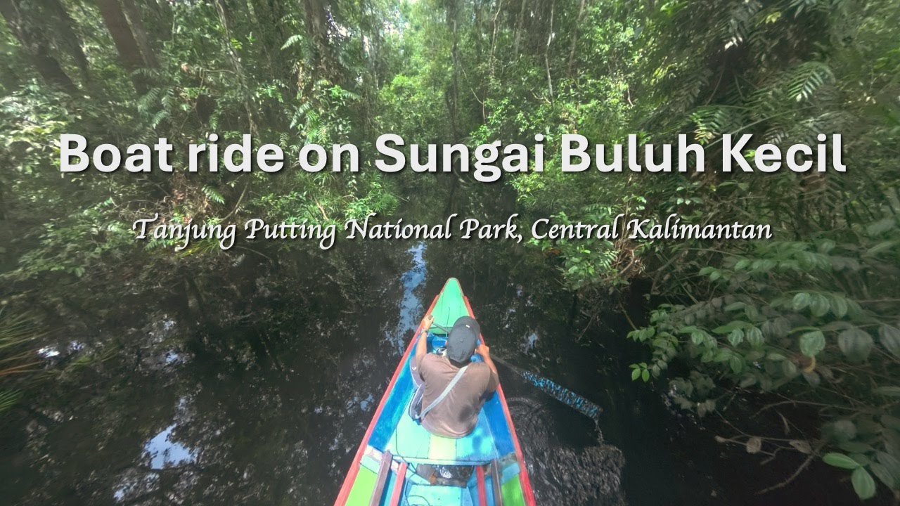 🚣‍♂️ PURE SERENITY: Full Length Boat Ride on Sungai Buluh Kecil | Immersive POV