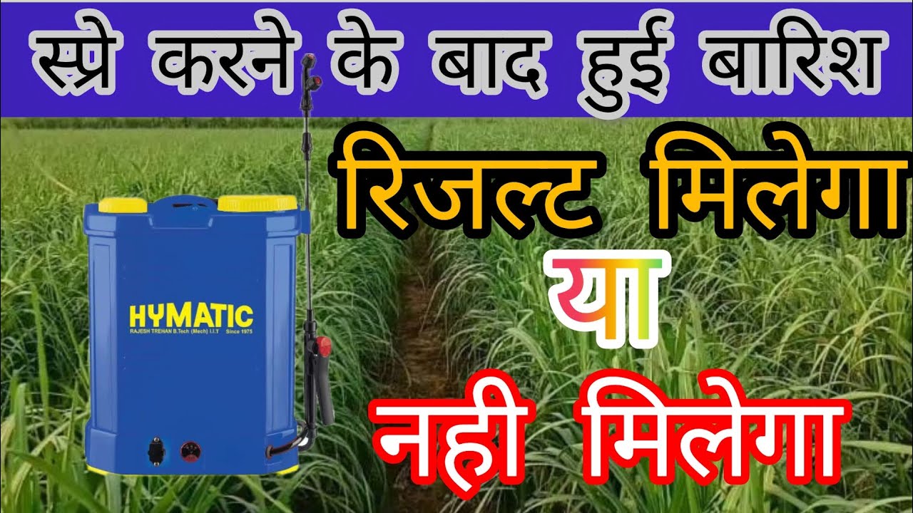 स्प्रे करने के बाद हुई बारिश रिजल्ट मिलेगा या नही। spay ke bad barish result results melenge ya nhi