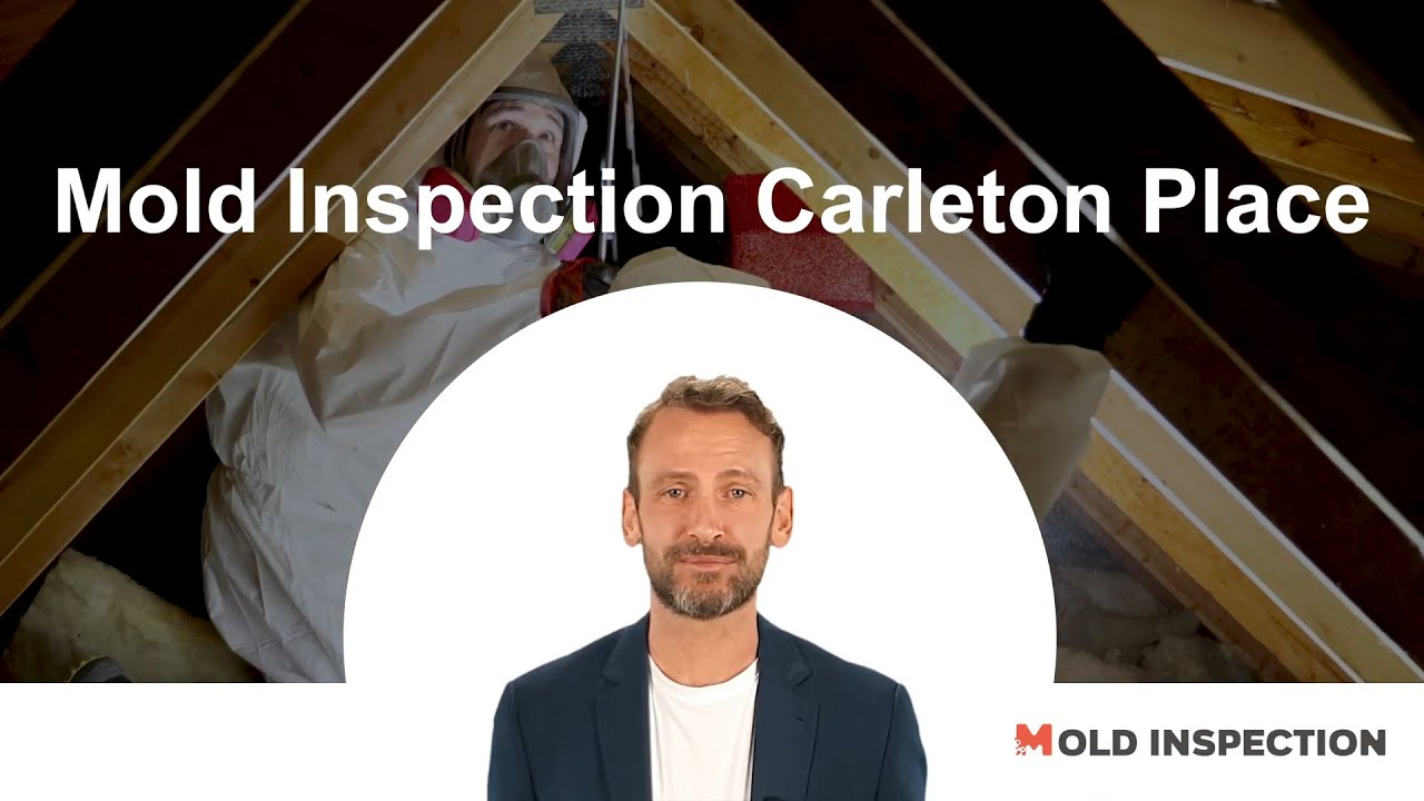 Mold Inspection Carleton Place - MoldInspection.ca - 866-595-0596 - #moldinspection
