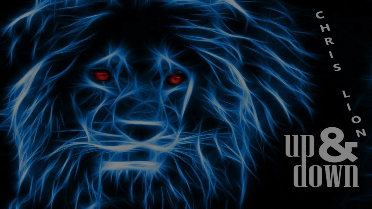 Chris Lion -UP & DOWN