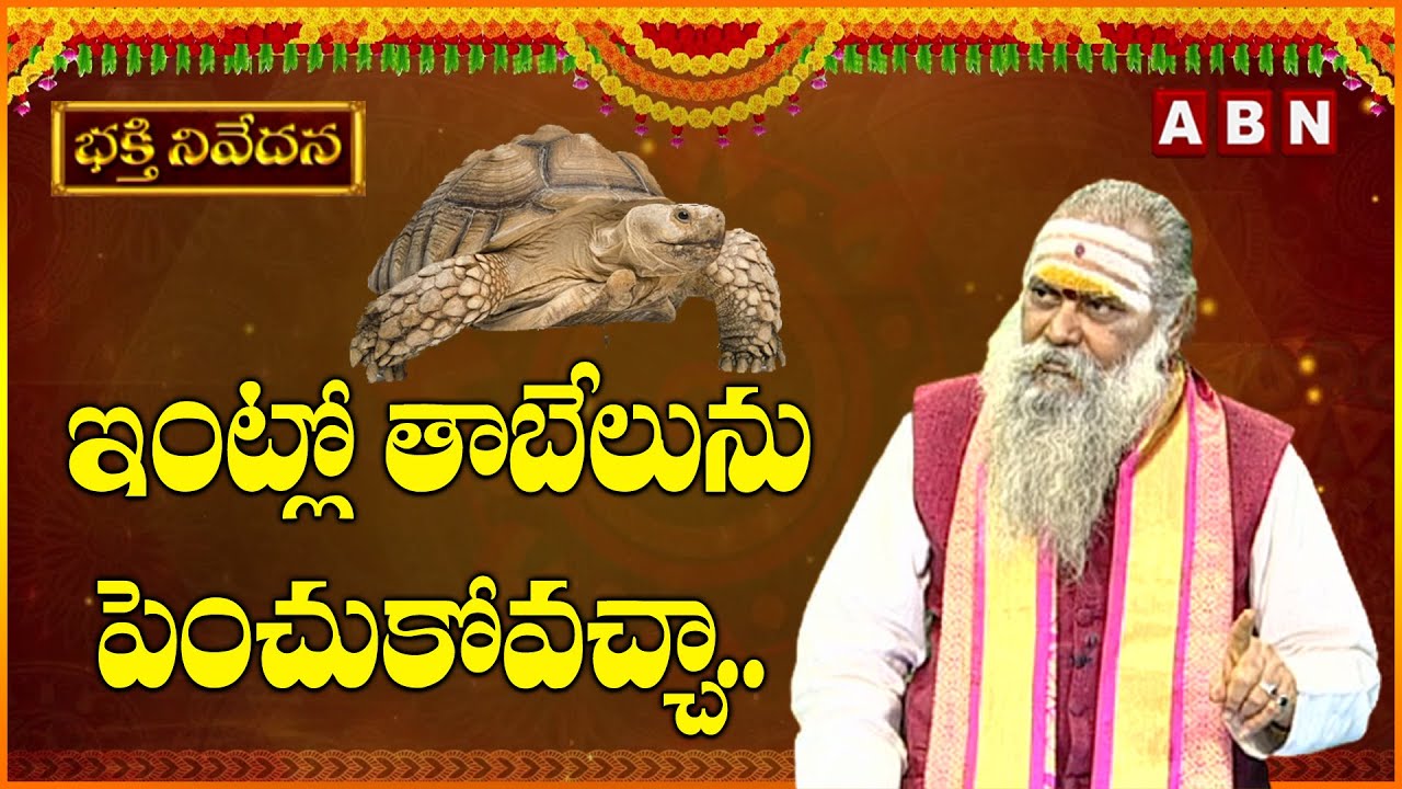 ఇంట్లో తాబేలును పెంచుకోవచ్చా.. | Pet Tortoise at Home | Tabelu | ABN Devotonal