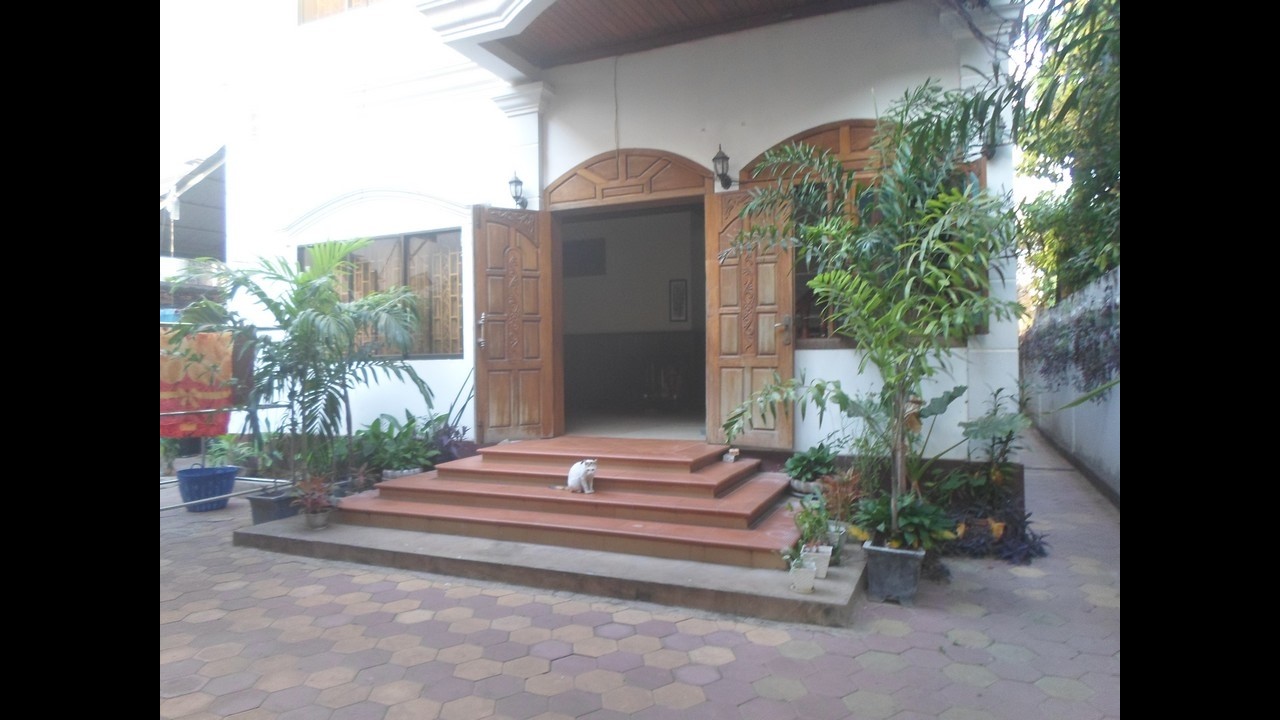 Siem Reap, Cambodia - Fri 6th - Sun 8th Feb - New friend...'The Cat'....