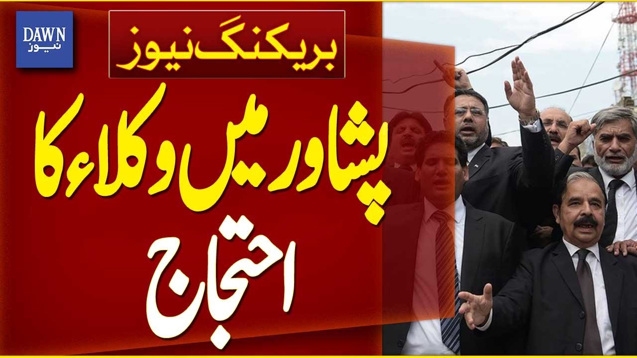 Lawyers Protest in Peshawar | Breaking News | Dawn News