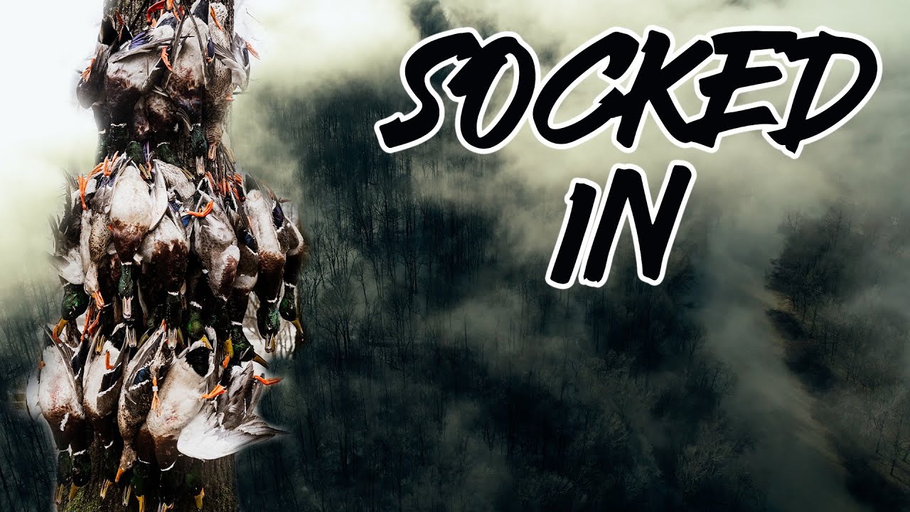 Socked In On Public Land | Dr Duck