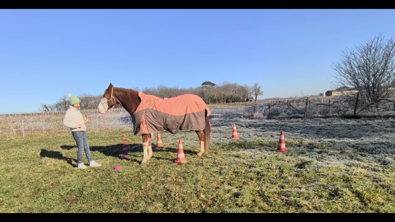 Equifeel Caval Go 2026 - manche 1 club 3 - Laury et Gunna 