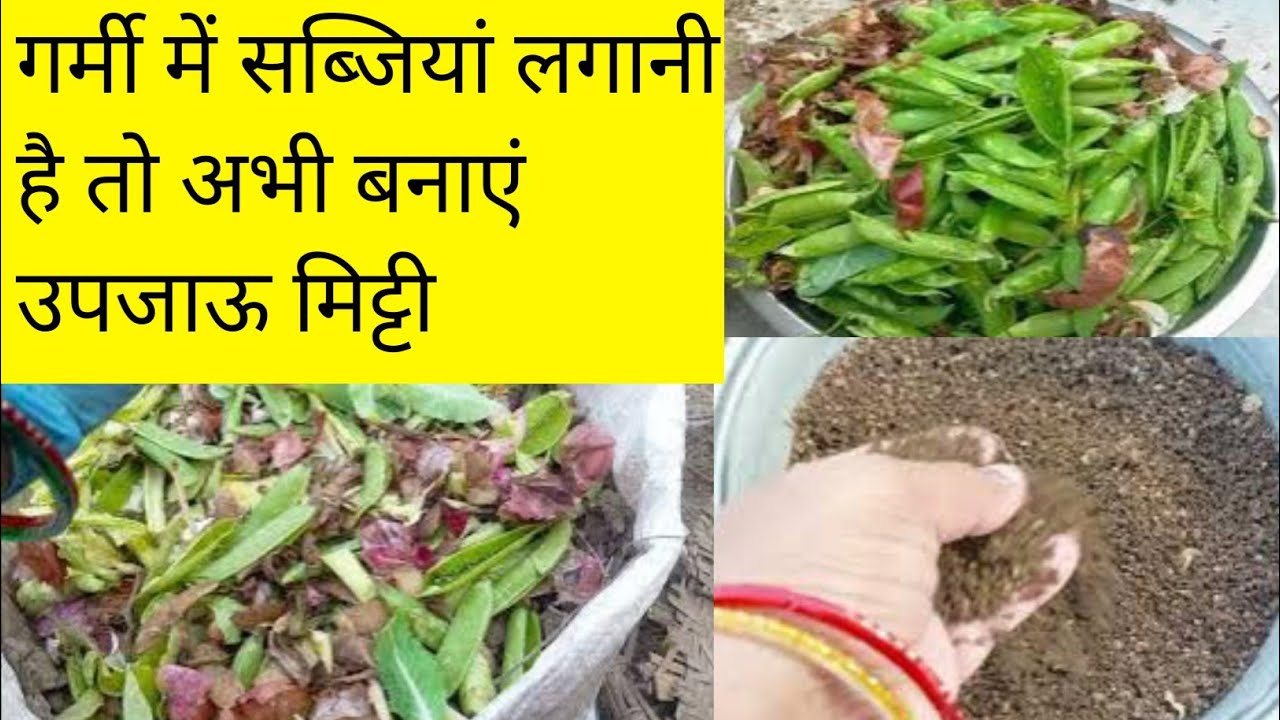 किचनवेस्ट से बनाएं उपजाऊ मिट्टी उगाएं सब्जियां/Soil Mixture Making Only Kitchen Waste for vegetables