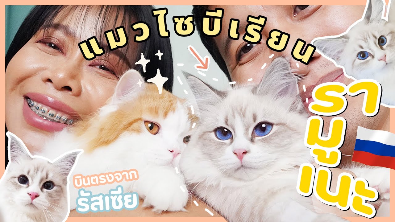 รีวิว 