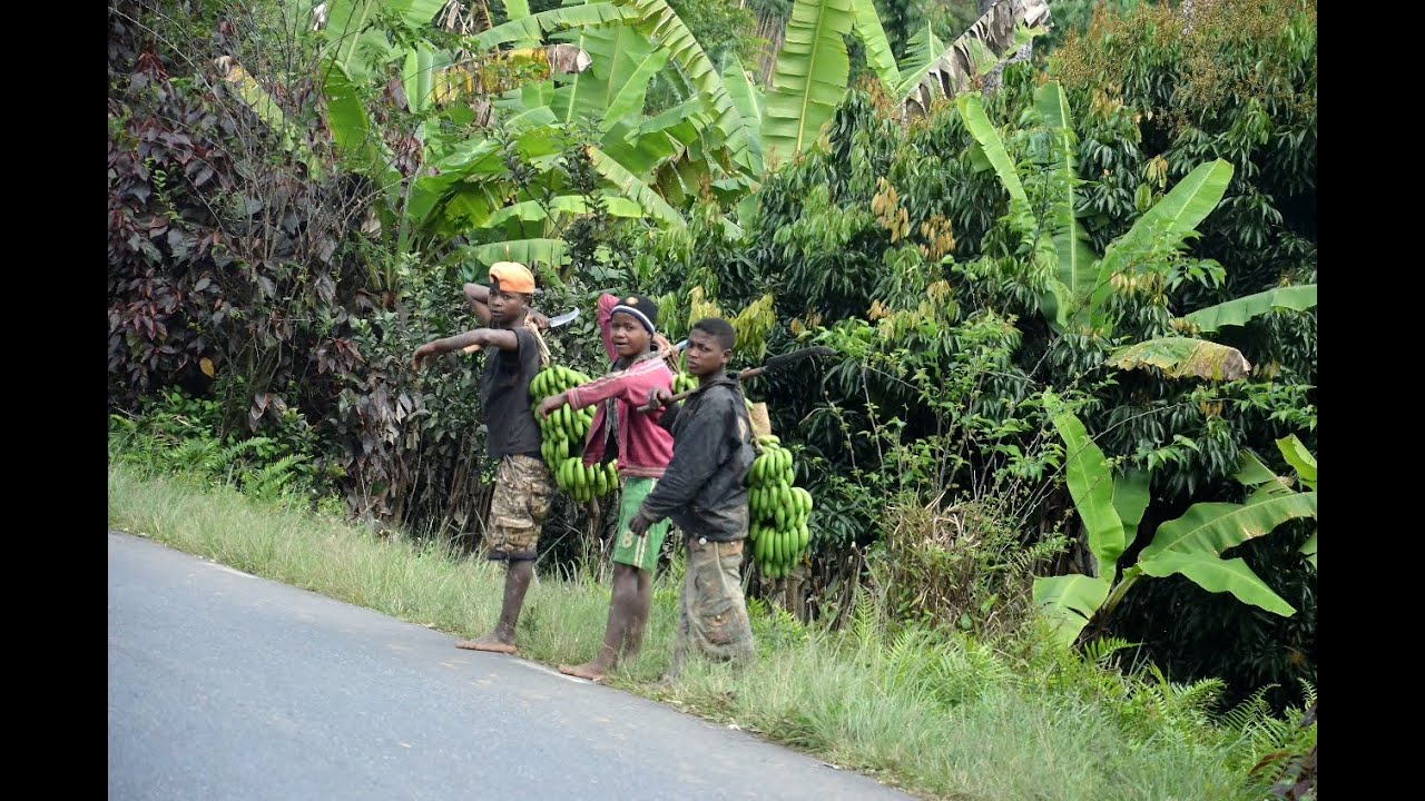 MyWay. Madagascar. 2014. 03. Manambato - Antsirabe