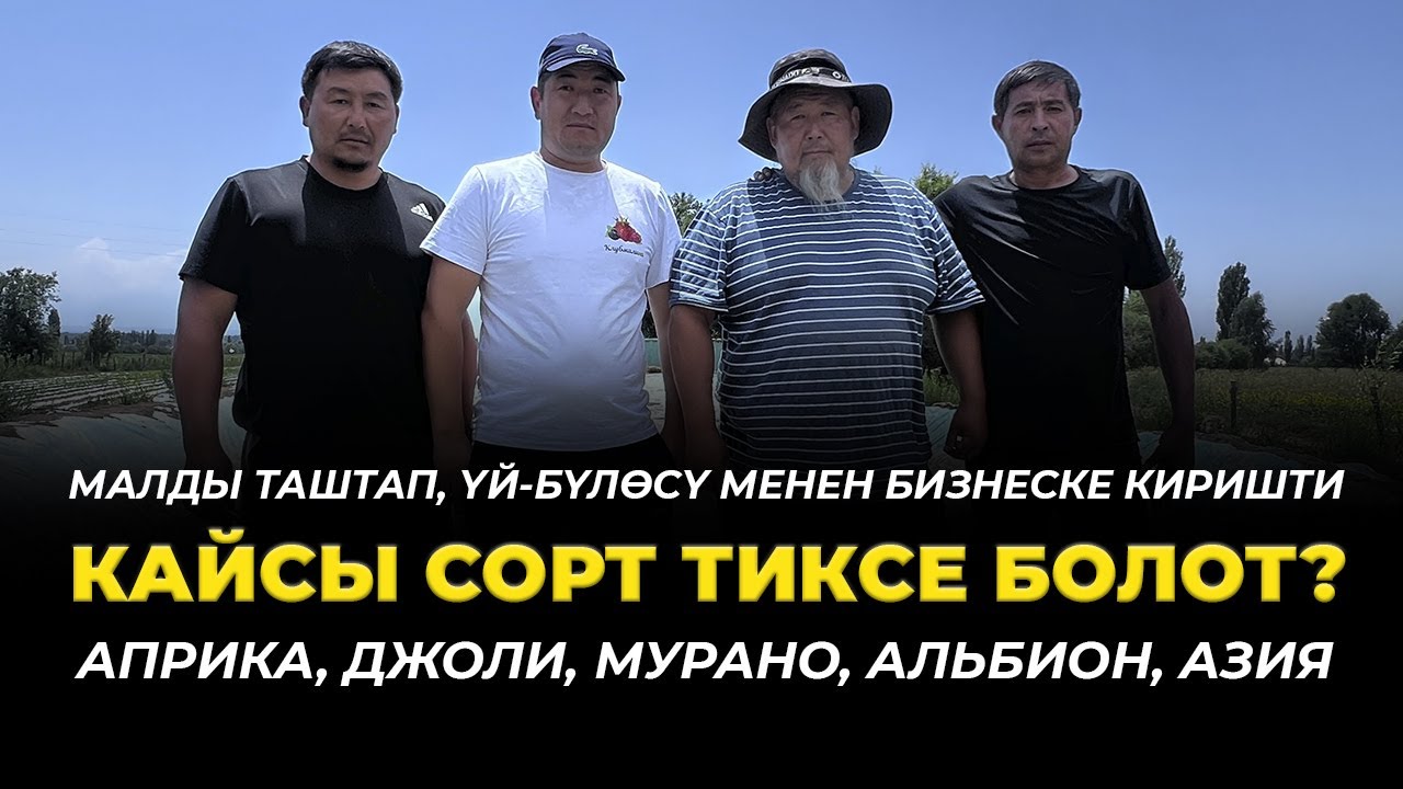 КАЙСЫ регионго КАЙСЫ сорт жакшы өсөт?