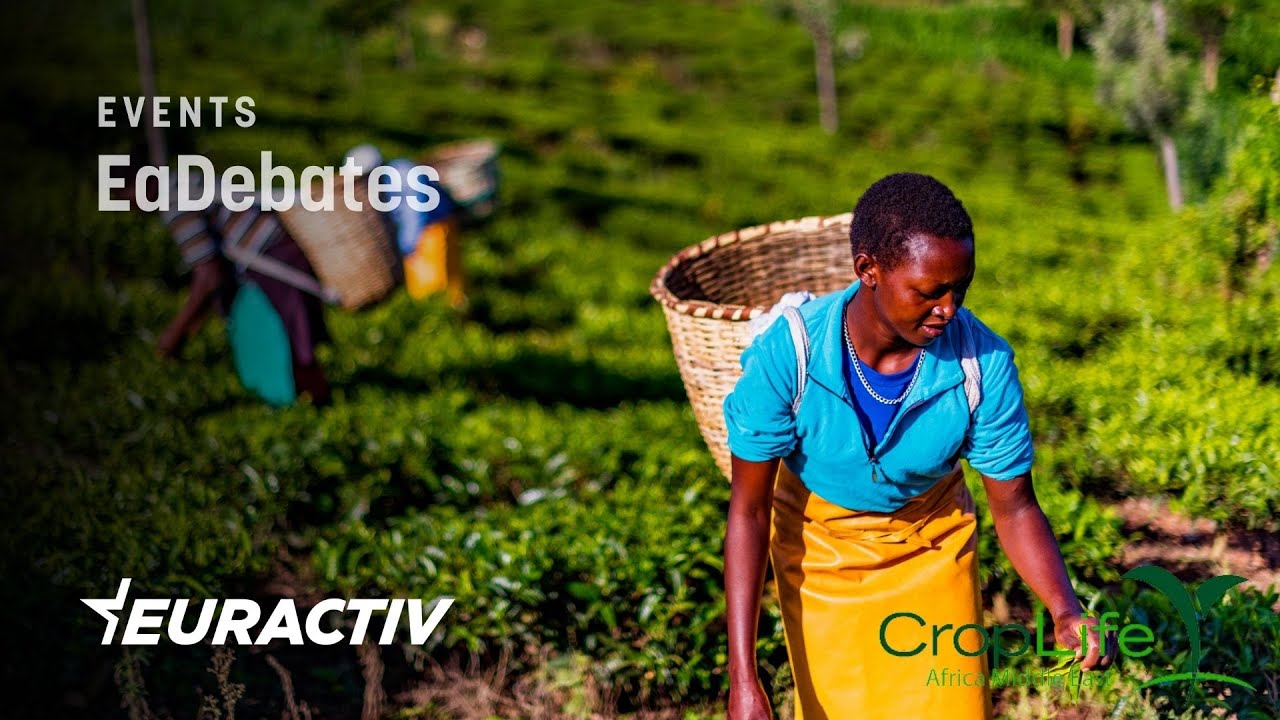 Sustainable agriculture transformation agenda for Africa