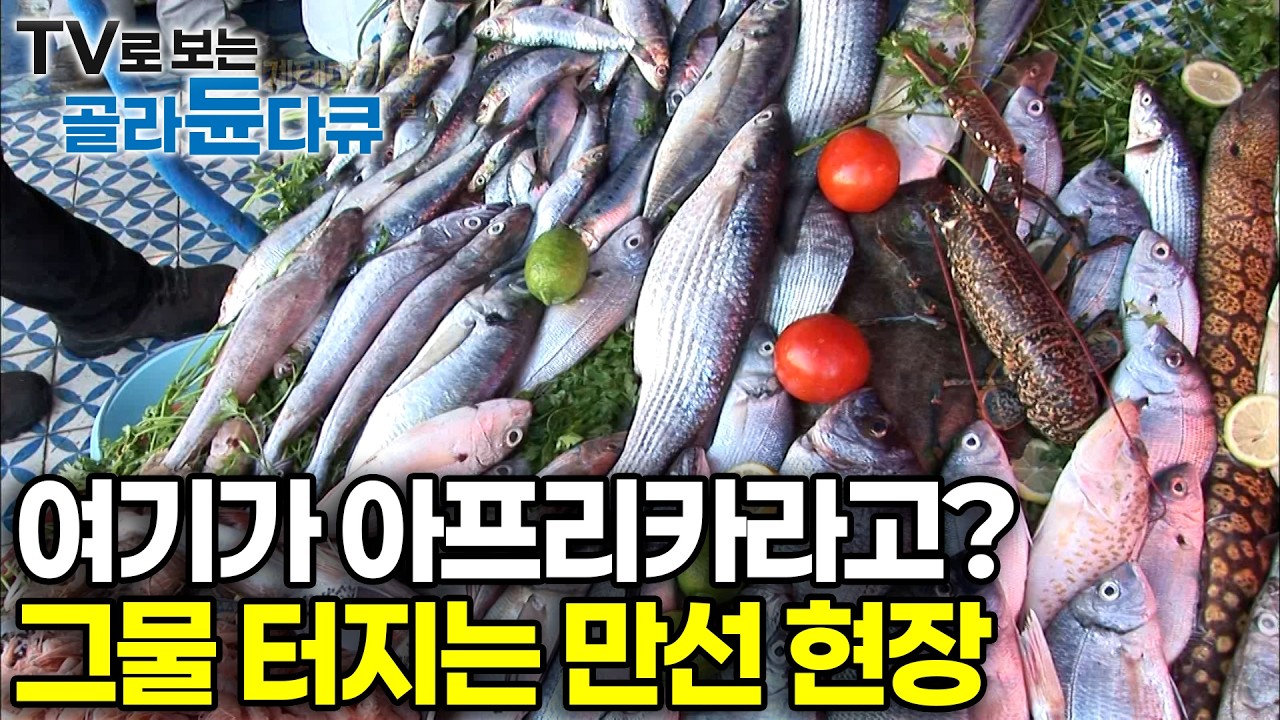 던지면 낚이는 대서양 낚시 성지! 현지인이 알려주는 낚시법? 바람의 도시 에사우이라에서 찾은 아르간 오일과 은빛 바다｜역대급 낚시 여행｜세계테마기행 모로코｜#골라듄다큐