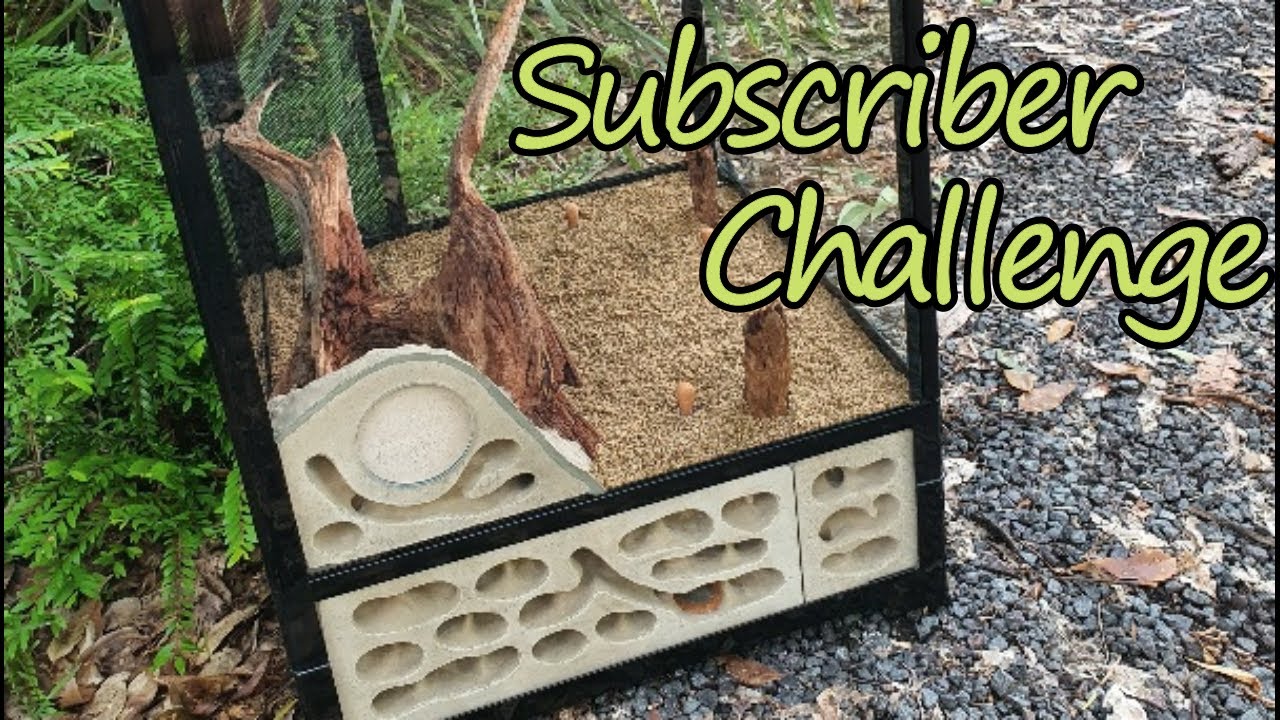 Formicarium Build Subscriber Challenge