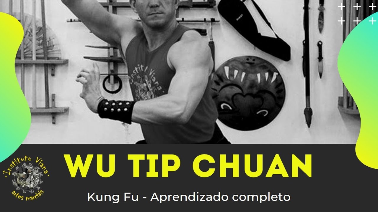 Kung Fu Wu Tip Chuan Fei Hok Phai Completo