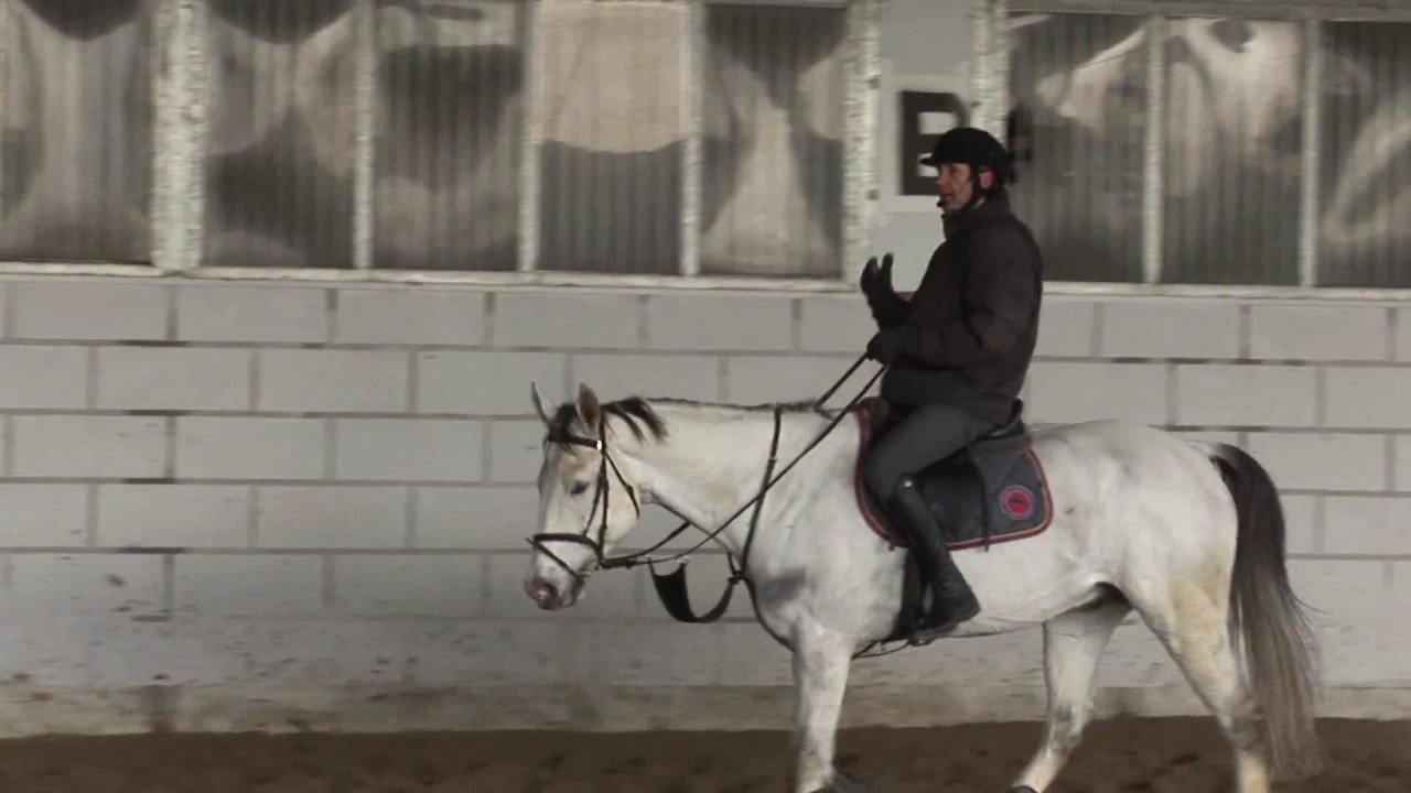Come è possibile vedere le distanze? - Salto ostacoli tecnica equestre