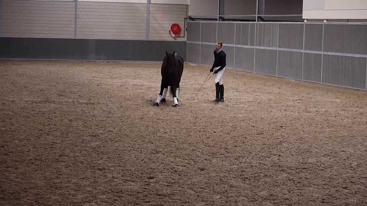 Demonstration Will Rogers 25th May 2013 Elite Horsemen Clinic