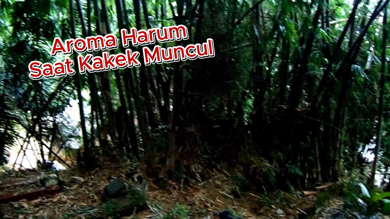 MAKAM KAKEK WINGIT #horror #kuburan #wingit