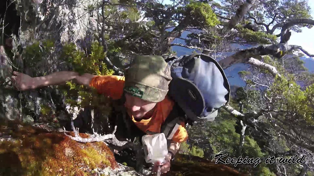 life of a possum trapper part 2